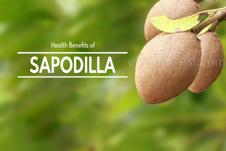 Discovering the Nutritional and Health Benefits of Sapodilla – The Exotic Fruit