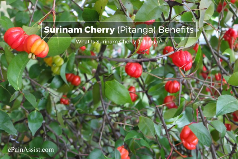 Surinam Cherry (Pitanga) Benefits