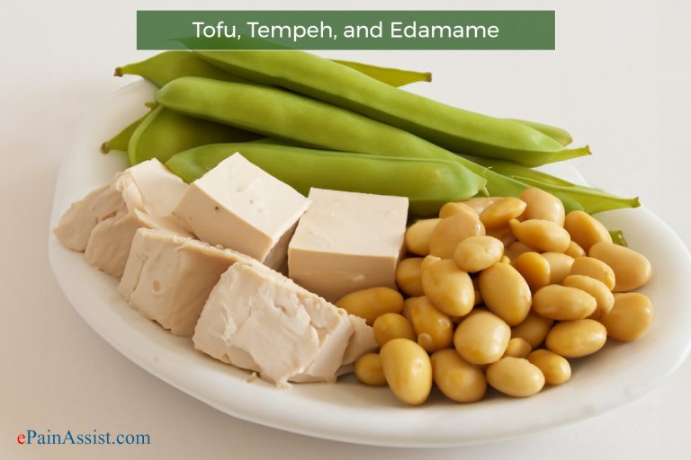 Exploring Plant-Based Protein: Benefits, Drawbacks, and Essential Sources