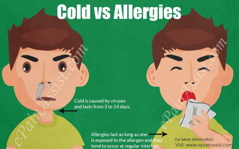 Cold vs Allergies: Differences Based on Causes, Symptoms, Treatment, Prevention
