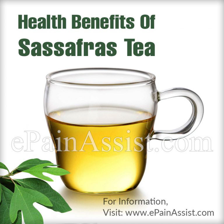 Health Benefits Of Sassafras Tea