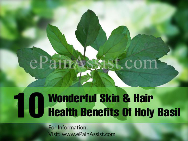 10 Wonderful Skin & Hair Health Benefits Of Holy Basil