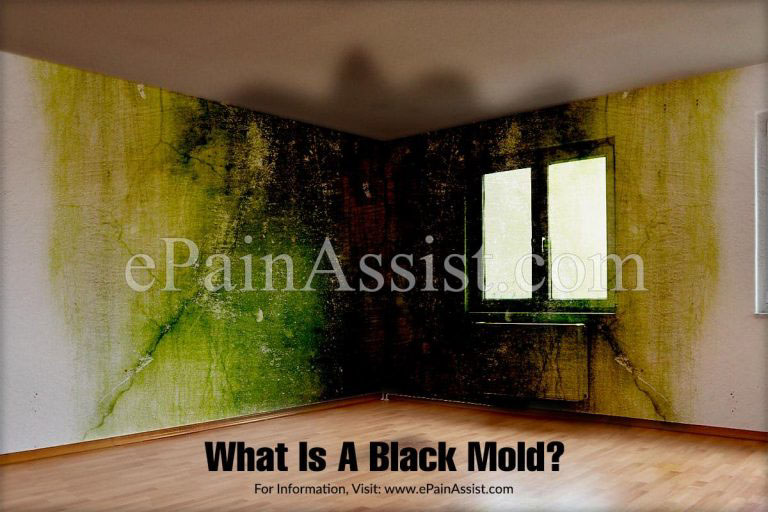 Black Mold Poisoning: Presenting Features & Its Treatment Options