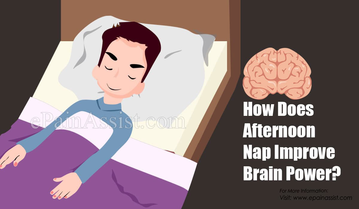 How Does Afternoon Nap Improve Brain Power?