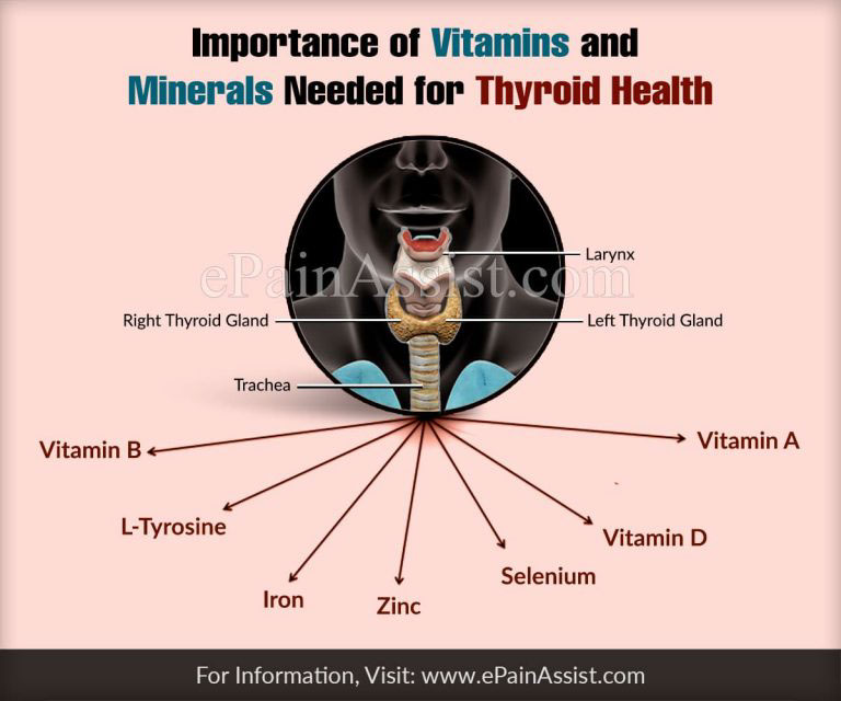 Understanding the Importance of Thyroid Vitamins
