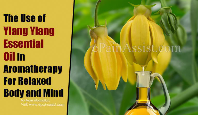 The Use of Ylang Ylang Essential Oil in Aromatherapy For Relaxed Body and Mind