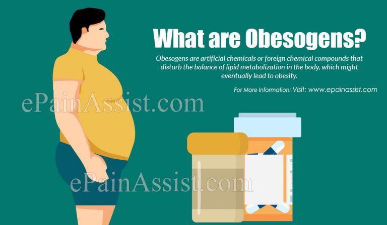 Obesogens – Chemicals That Make You Fat