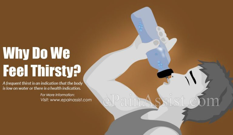Why Do We Feel Thirsty & What are the Health Conditions Associated With Frequent Thirst?