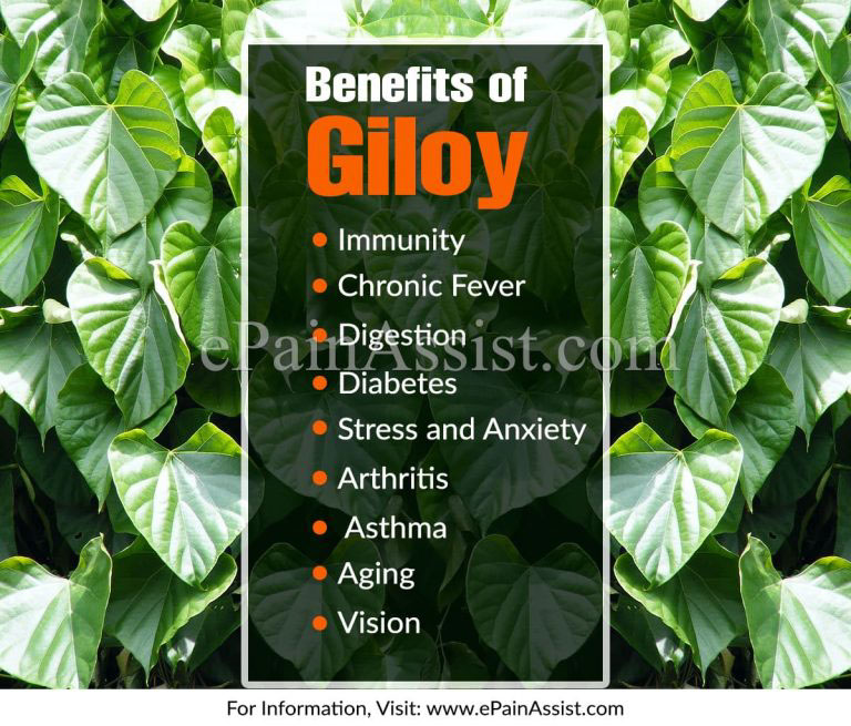 9 Benefits of Giloy and its 4 Side Effect