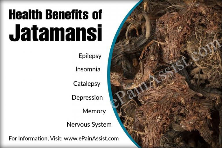 Health Benefits of Jatamansi in Treating Epilepsy, Insomnia, Catalepsy, Depression and Strengthening the Nervous System