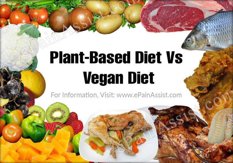 Plant-Based Diet Vs Vegan Diet: Differences Worth Knowing