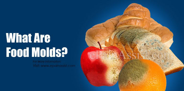 What Are Food Molds & Are They Dangerous?