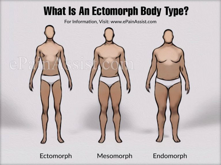 What Is An Ectomorph Body Type? | Ectomorph Diet and its Advantages