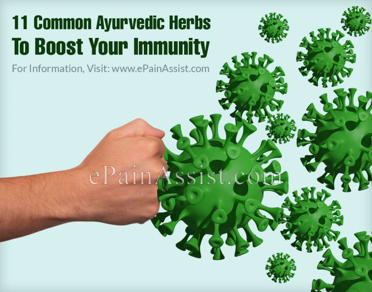 11 Common Ayurvedic Herbs To Boost Your Immunity