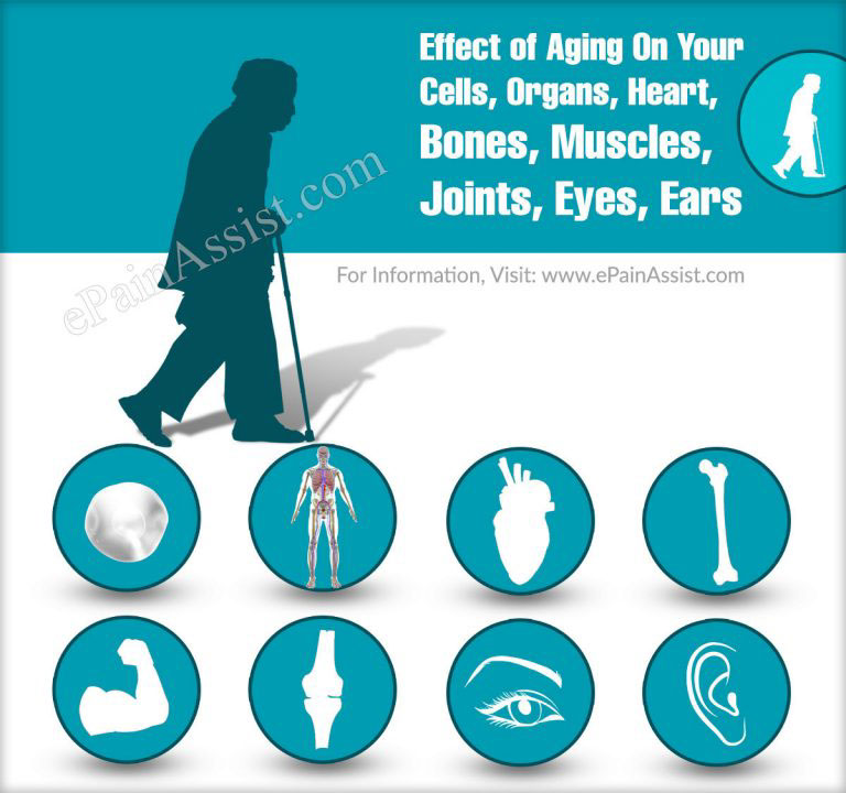 Effect of Aging On Your Cells, Organs, Heart, Bones, Muscles, Joints, Eyes, Ears