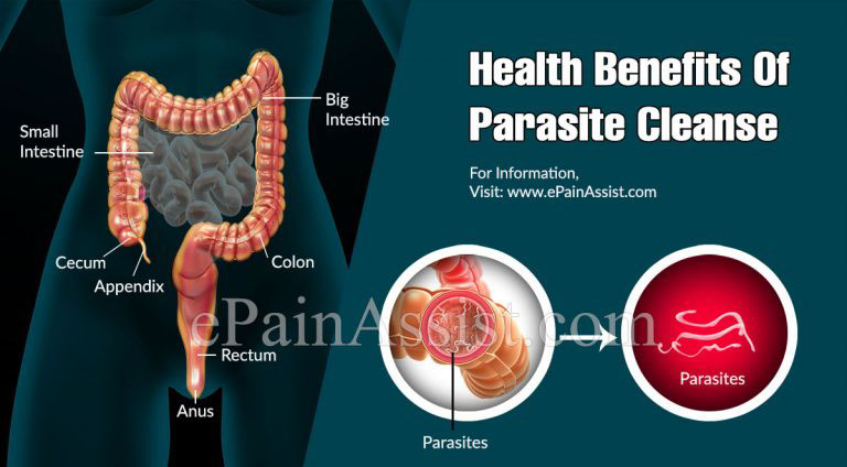 Health Benefits Of Parasite Cleanse & Ways To Get Rid of Parasites in Body