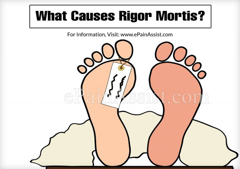 What Causes Rigor Mortis?