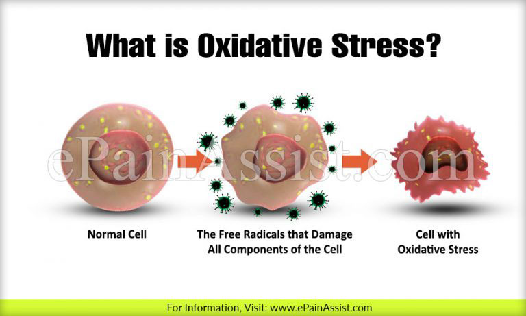 What is Oxidative Stress & How Does it Affect Your Body? Risk Factors, Management and Prevention of Oxidative Stress