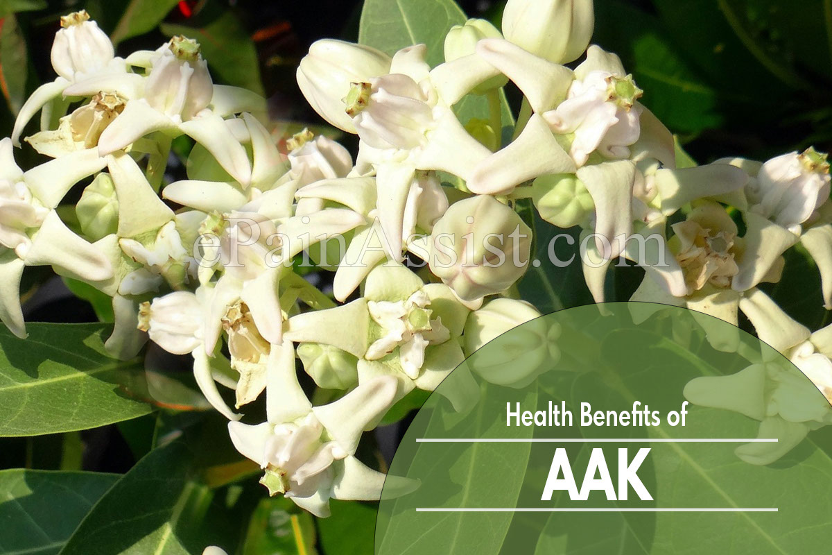 8 Incredible Health Benefits of Aak