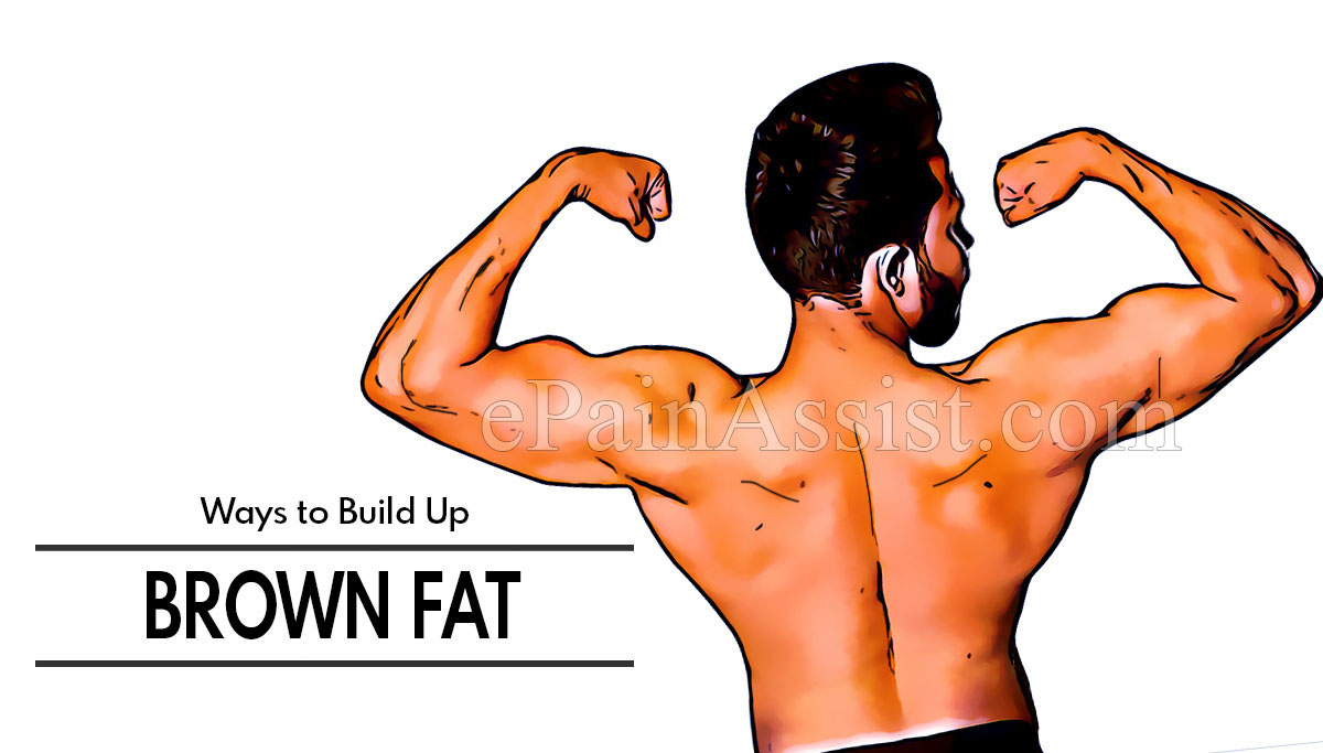 Ways to Build Up Brown Fat Ways to Build Up Brown Fat