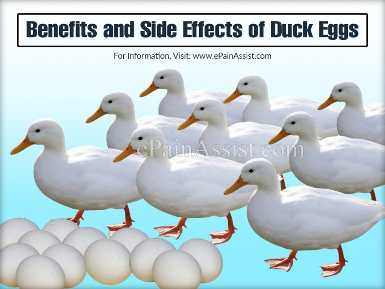 Benefits and Side Effects of Duck Eggs | Nutrition of Duck Eggs