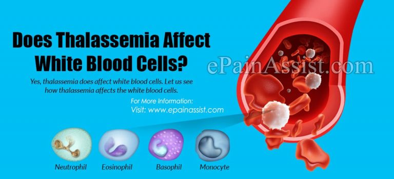 Does Thalassemia Affect White Blood Cells?