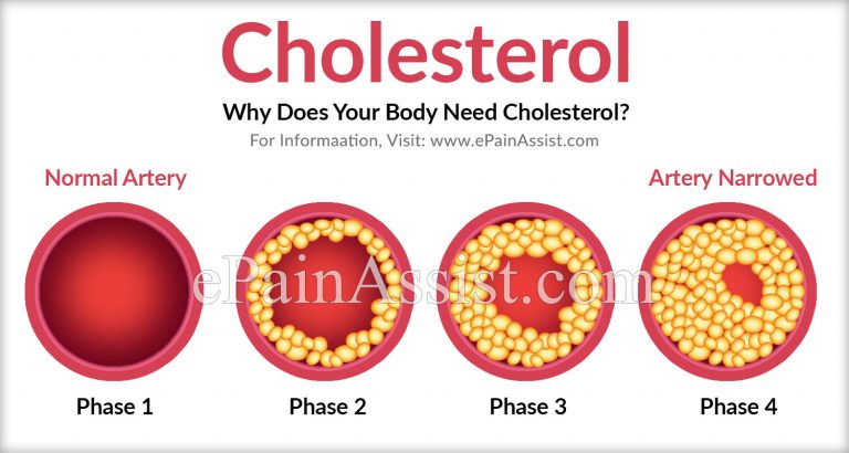 What Is Cholesterol And Why Does Your Body Need Cholesterol?