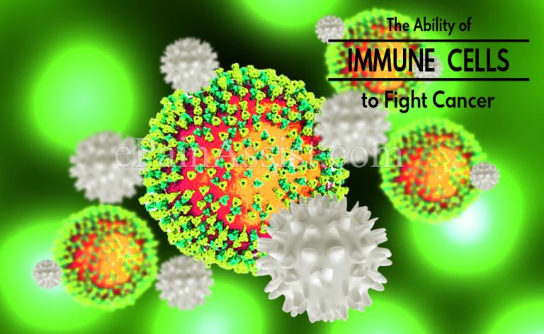 The Ability of Immune Cells to Fight Cancer