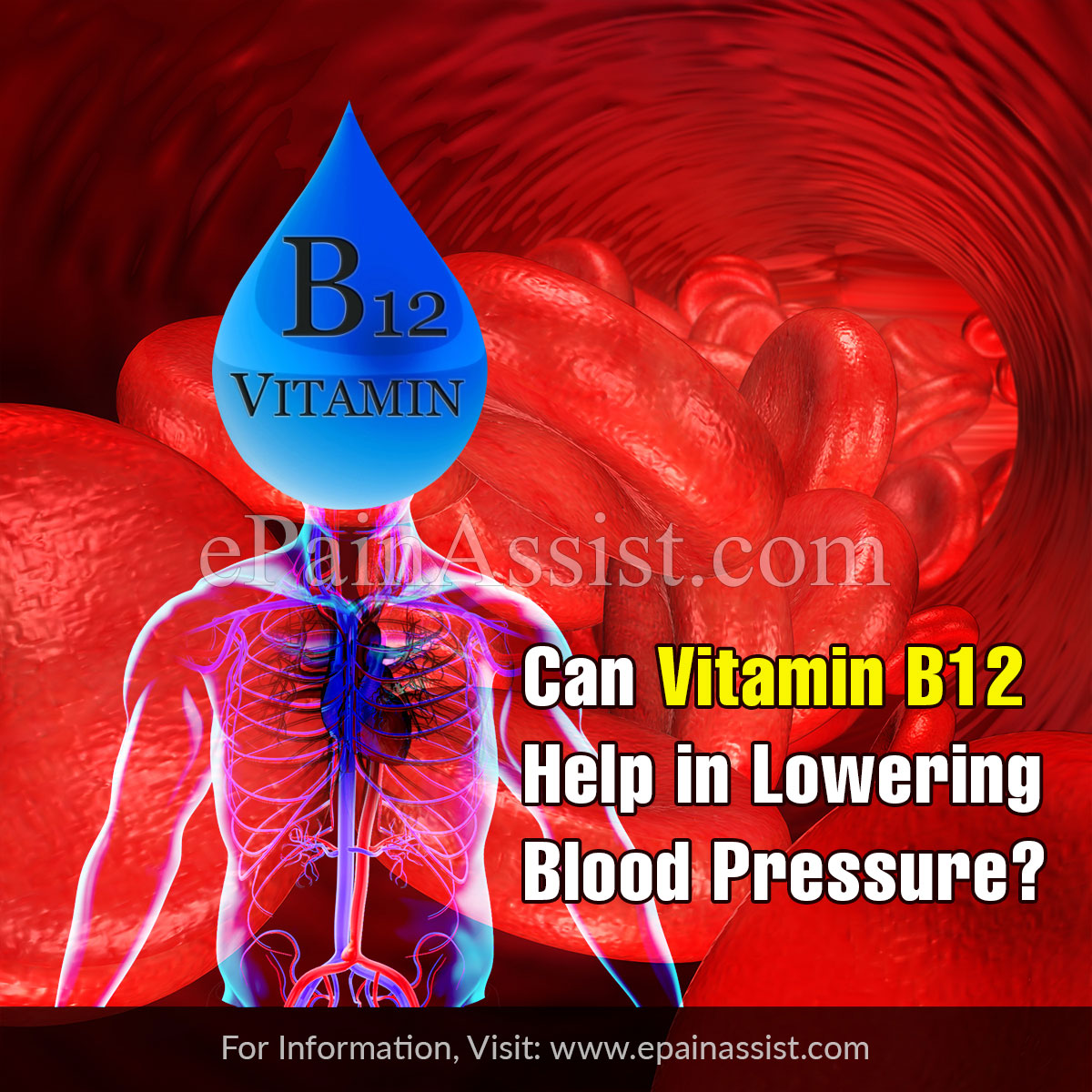 Can Vitamin B12 Help in Lowering Blood Pressure?