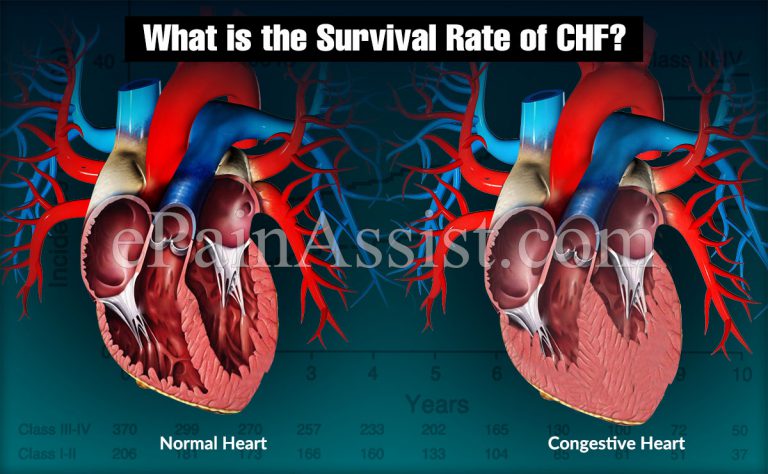 What is the Survival Rate of CHF?