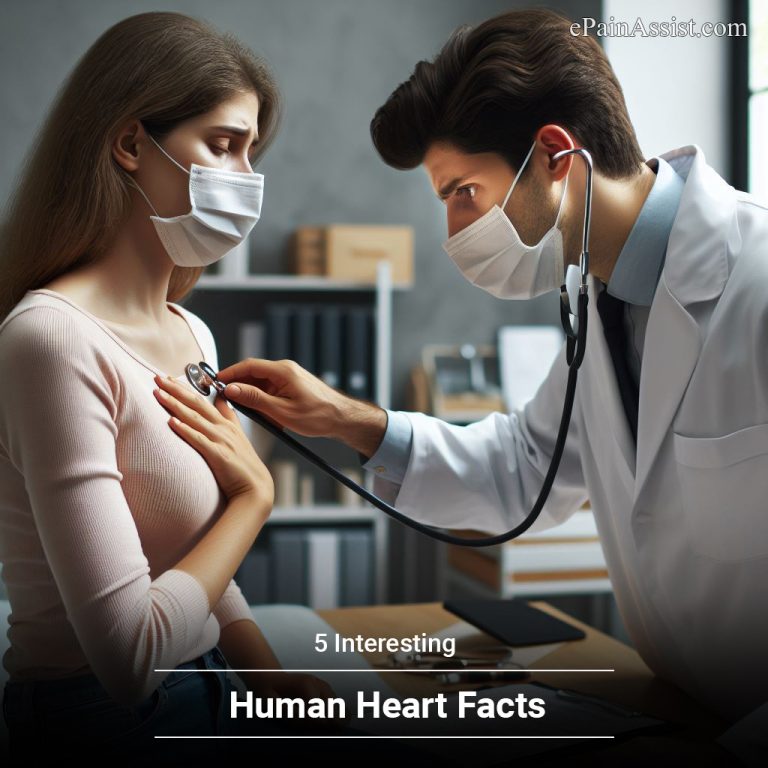 5 Interesting Human Heart Facts