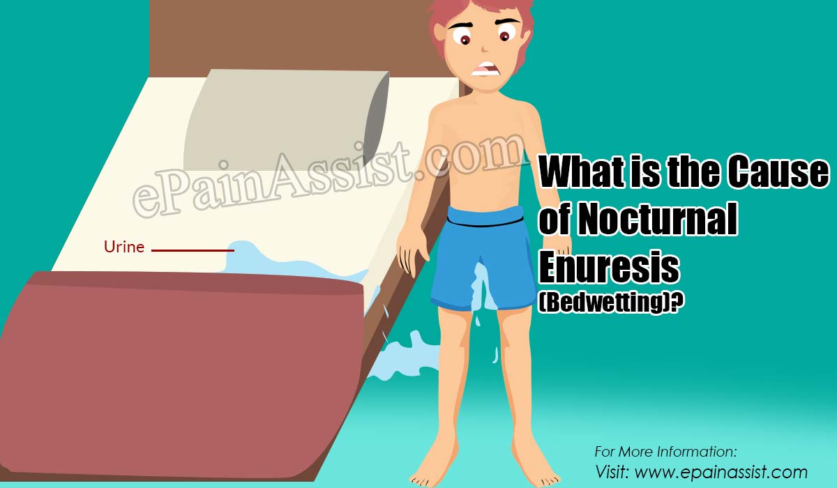 What is the Cause of Nocturnal Enuresis (Bedwetting)?