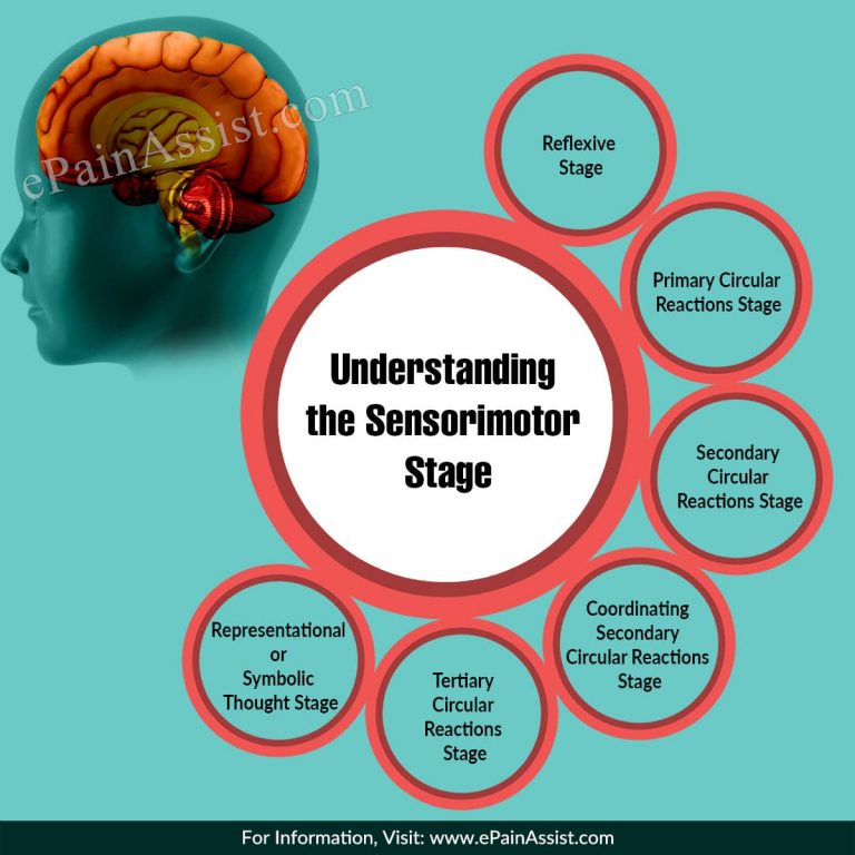 Understanding the Sensorimotor Stage of Piaget’s Theory