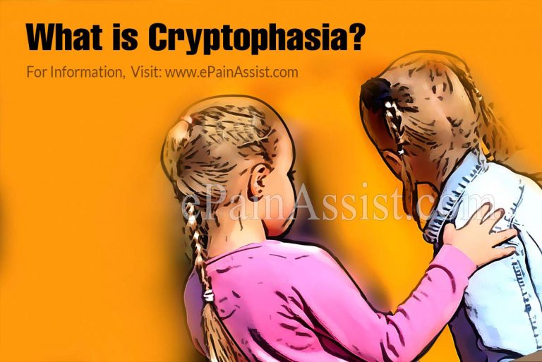What is Cryptophasia?
