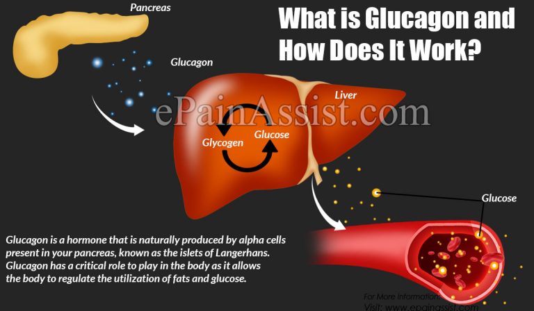 What is Glucagon and How Does It Work?|When and How To Inject Glucagon?