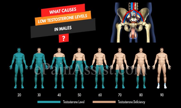 What Causes Low Testosterone Levels In Males?
