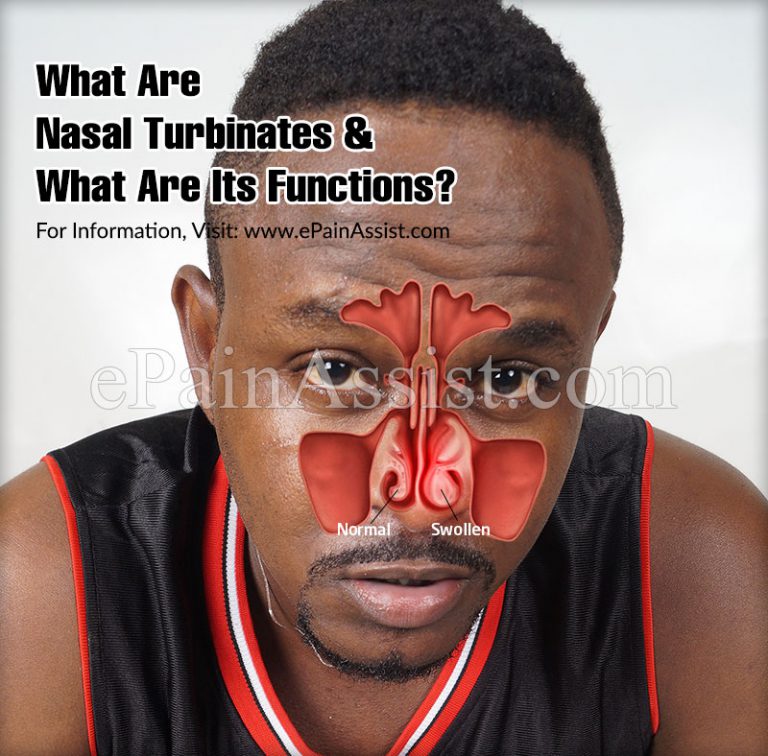 Function of Nasal Turbinates & Should You Opt For Turbinate Reduction Surgery?