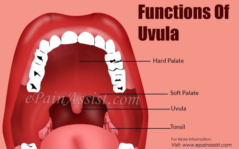Functions Of Uvula & Side Effects Of Uvula Removal
