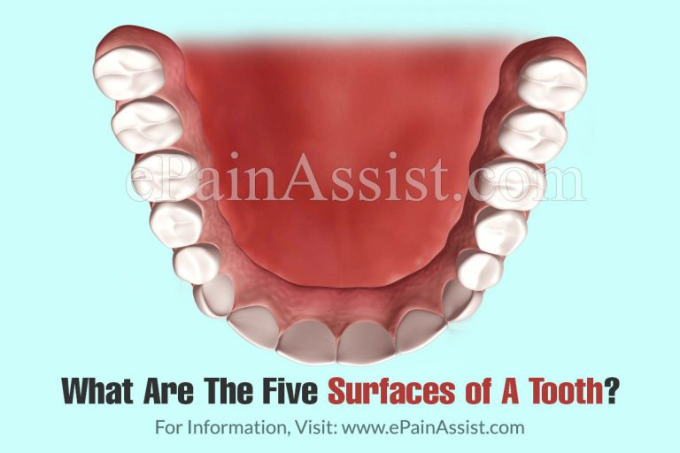 What Are The Five Surfaces of A Tooth?