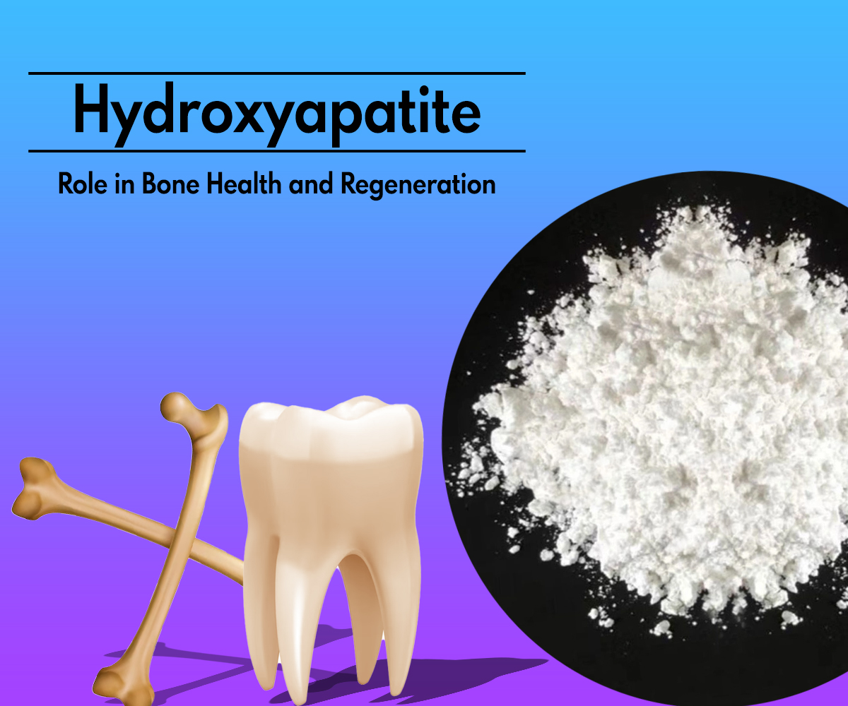 Understanding The Function of Hydroxyapatite: Its Role in Bone Health and Regeneration