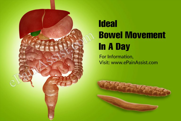 Ideal Bowel Movement In A Day