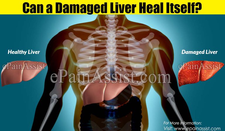 Can a Damaged Liver Heal Itself?