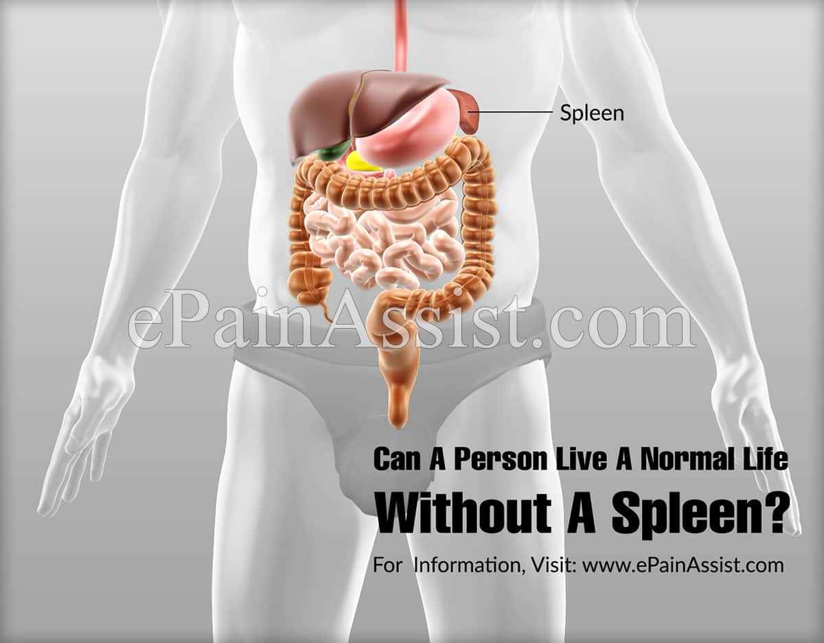 Can A Person Live A Normal Life Without A Spleen?