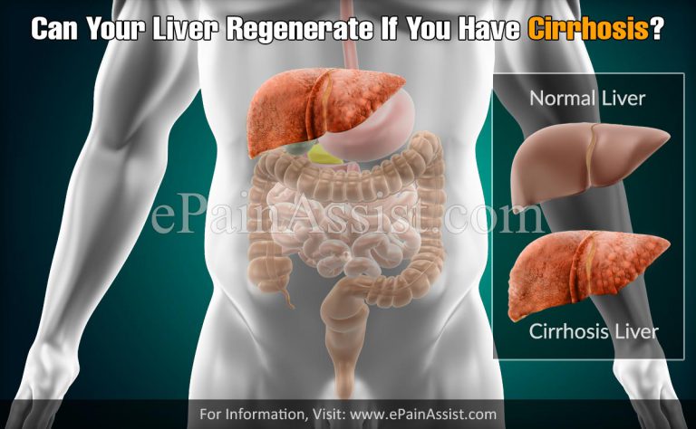 Can Your Liver Regenerate If You Have Cirrhosis?