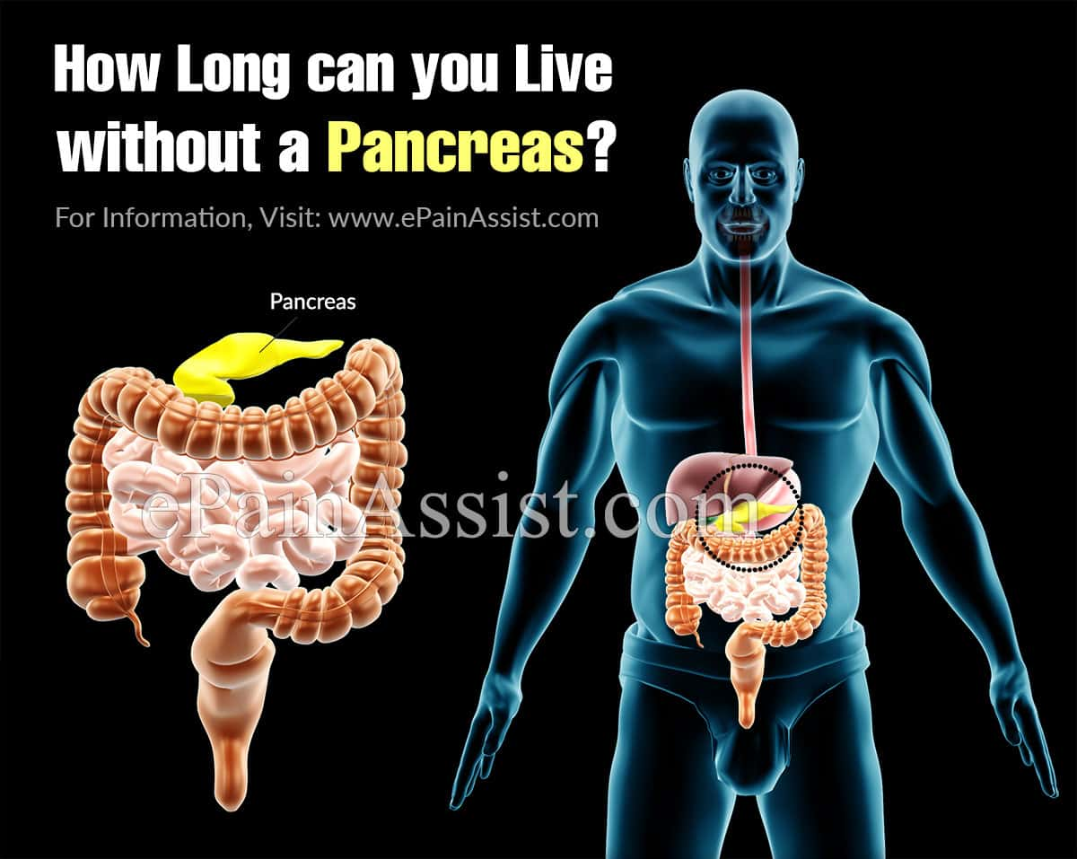 How Long can you Live without a Pancreas?