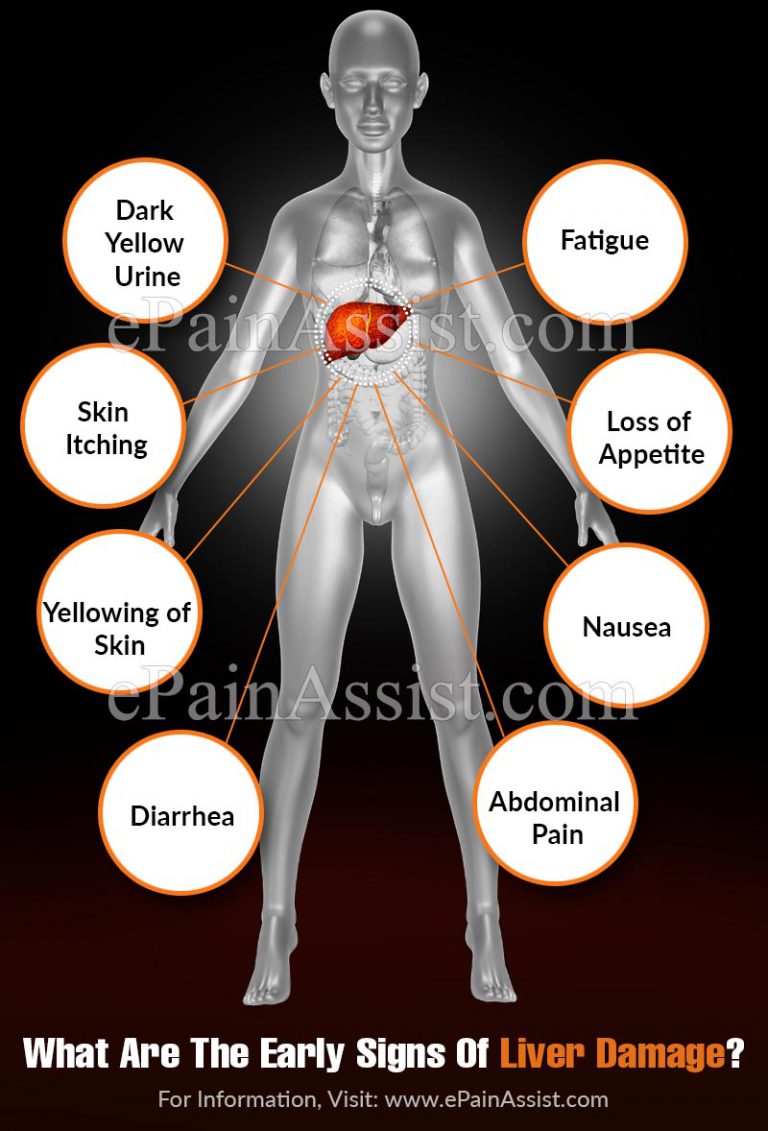 What Are The Early Signs Of Liver Damage?