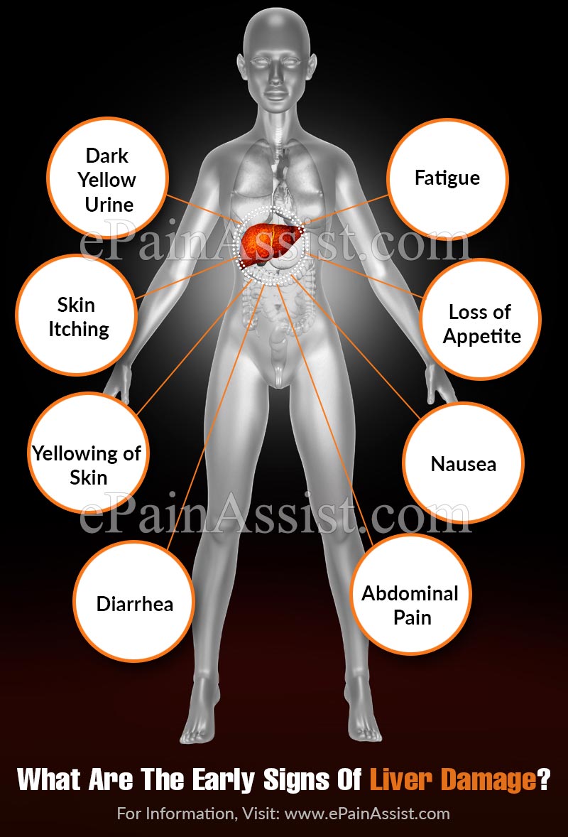 What Are The Early Signs Of Liver Damage?