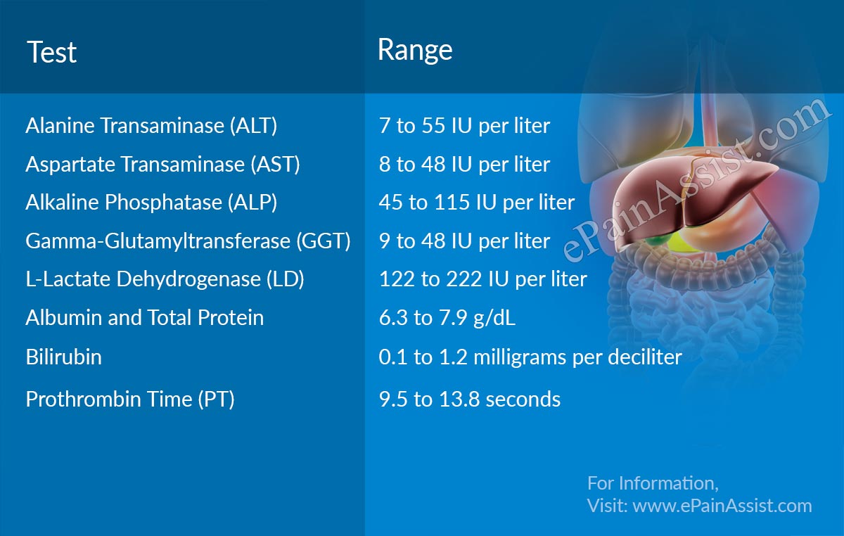 What Are The Normal Liver Enzyme Levels?