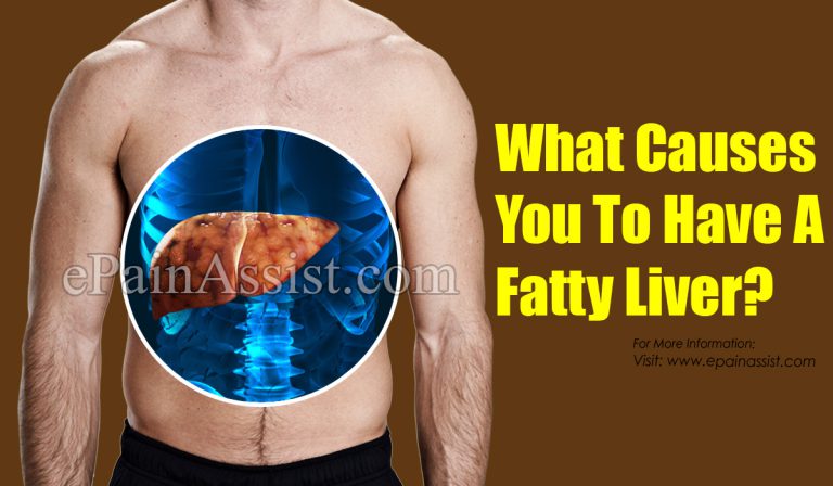 What Causes You To Have A Fatty Liver?