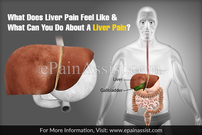 What Does Liver Pain Feel Like What Can You Do About A Liver Pain